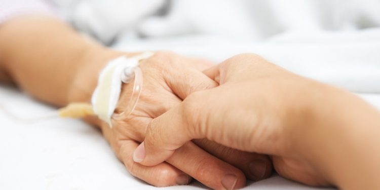 Francuska odobrava zakon o pravu-RT World News