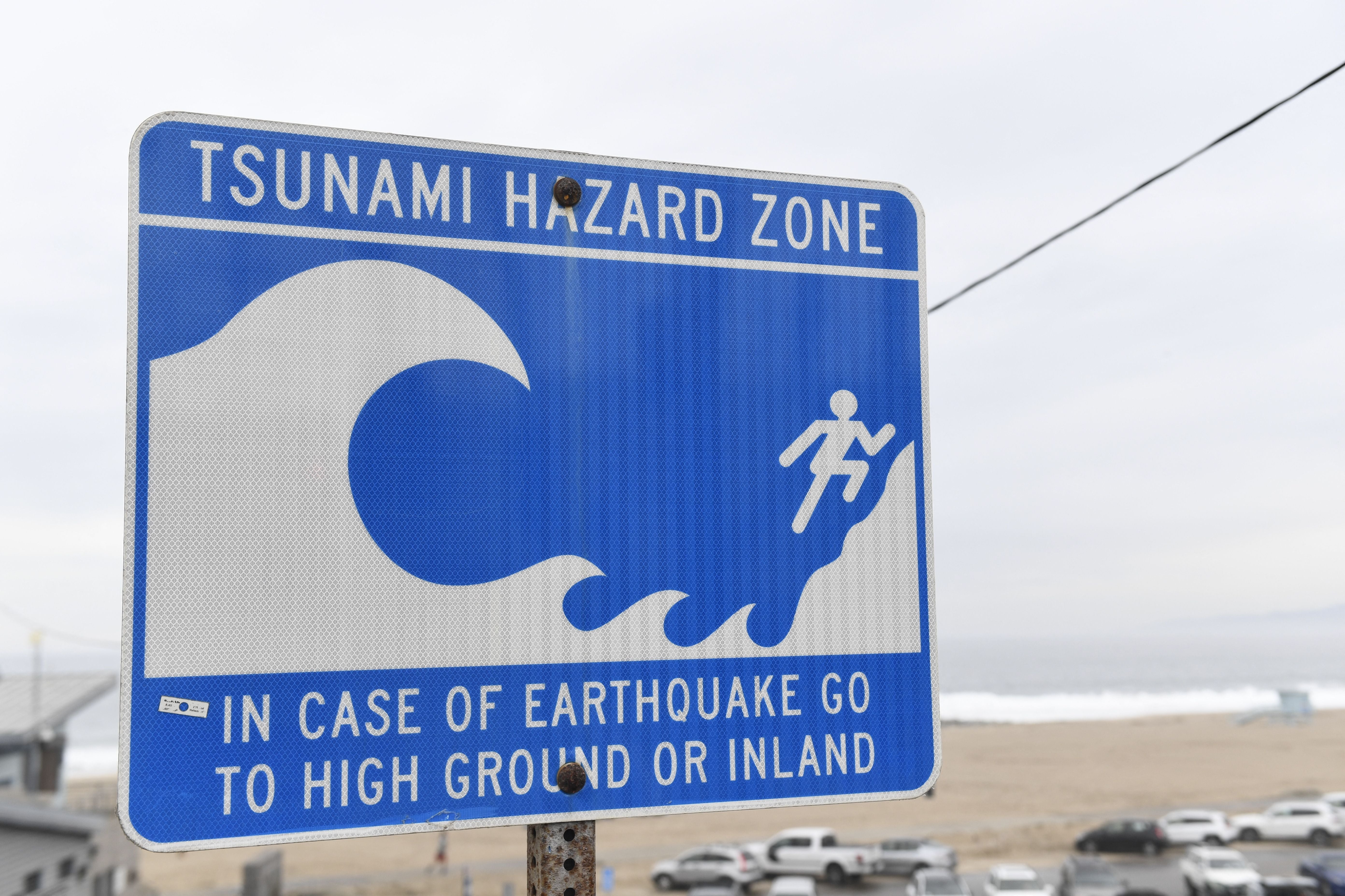 'Mega-tsunami' mogao bi potencijalno izbrisati veliki dio Amerike ako dovoljno jak potres pogodi određenu aktivnu liniju grešaka, kaže znanstvenik.