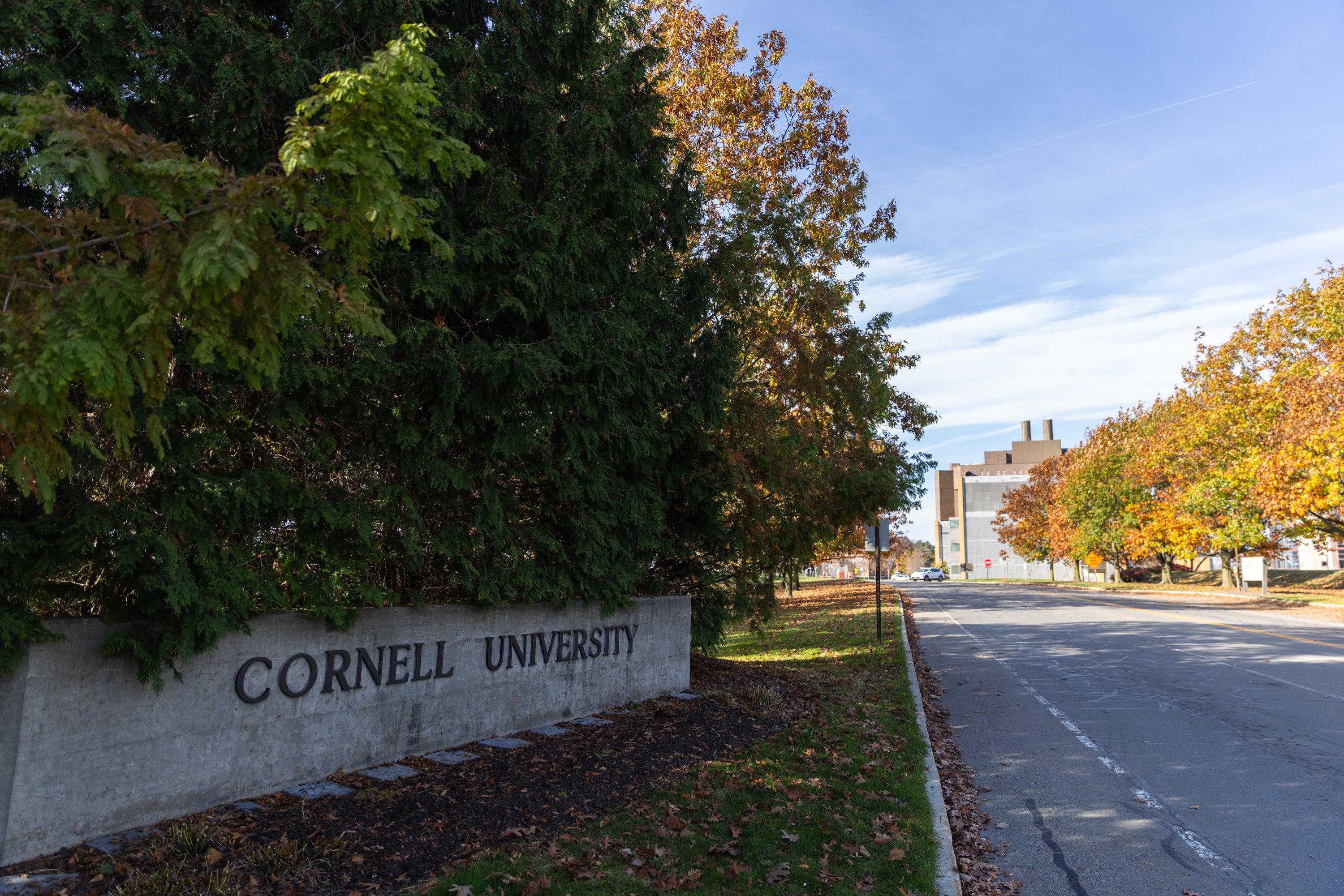 Laboratorij dr. Jamesa Antakija na Sveučilištu Cornell morat će otpustiti osoblje, a doktorat će morati pronaći nova područja istraživanja ako se financiranje ne razvrsta u roku od 90 dana