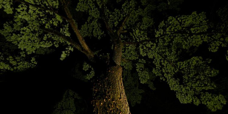 Gruzijski djed žrtvuje svoj život kako bi spasio blizanačke unuke od padajućih udova: ‘Bio je heroj’