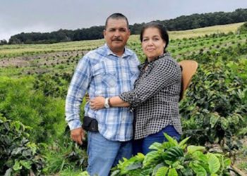 Imigranti se zaokružuju na poljima kave na Havajima i liječe se gore od ‘mačaka i pasa’, kažu mještani