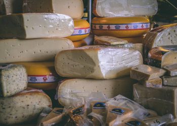 Istarski studenti u Ljubljani predstavljali gastronomsko i kulturno bogatstvo