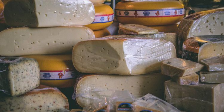 Istarski studenti u Ljubljani predstavljali gastronomsko i kulturno bogatstvo