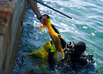 Izvukli betonske kante za smeće i konstrukciju napuštenog plažnog objekta