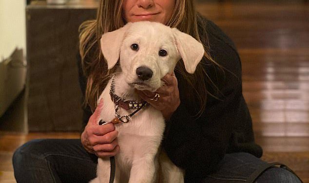 Jennifer Aniston Panics nakon što je slučajno procurila privatne detalje na odmučenoj fotografiji snimljenom u kući