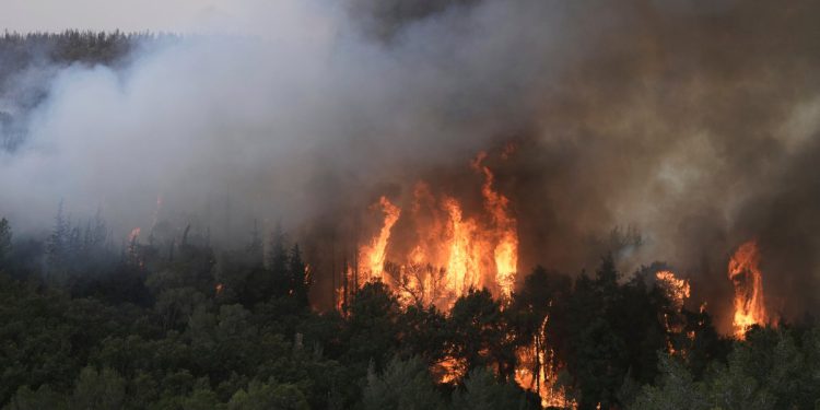 Jeruzalemska požara ažuriranja uživo: Izrael proglašava nacionalnu hitnu situaciju i žalbe na međunarodnu pomoć zbog razornog plamena