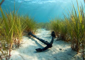 Kako očuvati podmorje Paklinskih otoka?