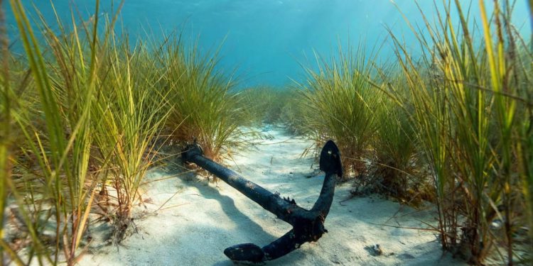 Kako očuvati podmorje Paklinskih otoka?