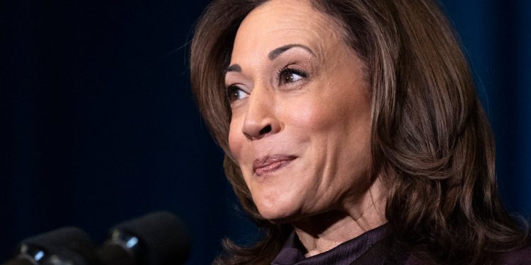 Kamala Harris naziva Trumpove tarife najveću ekonomsku krizu koju je stvorio čovjek u modernoj predsjedničkoj povijesti ‘
