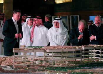 Kraljevina odobrila satelitski internet Elona Muska za zračni i pomorski promet, a u igri su i robotaksiji i humanoidni roboti