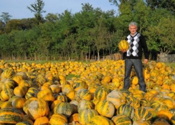 Kronika povijesnih stranputica: Vrag tikve sadi