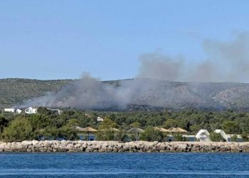 Lokaliziran požar kod Šibenika – DALMACIJA DANAS