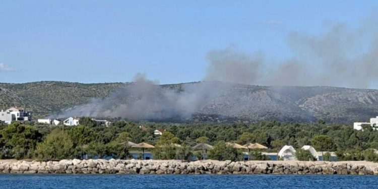Lokaliziran požar kod Šibenika – DALMACIJA DANAS