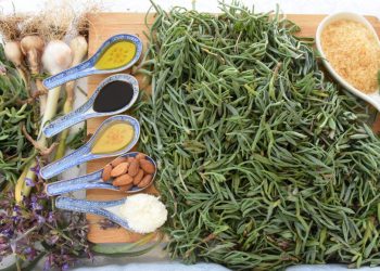 MOTAR – 2. dio: Kako ga pripremati? |