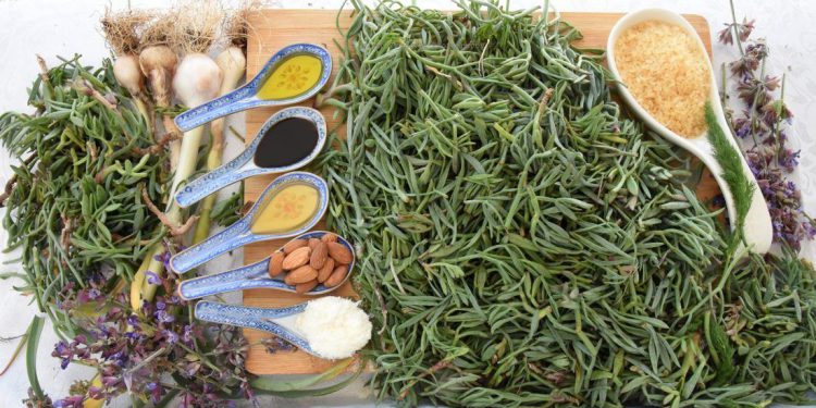 MOTAR – 2. dio: Kako ga pripremati? |