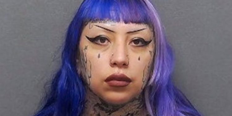 Mama je kupila oružje za sina, 14, koji je imao ‘fascinaciju’ masovnim strijelcima, kaže policija