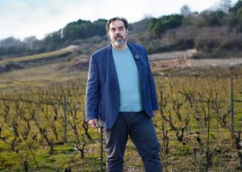 Marko Giljača: Spriječimo ekocid vinograda na Pelješcu – slušajmo građane!