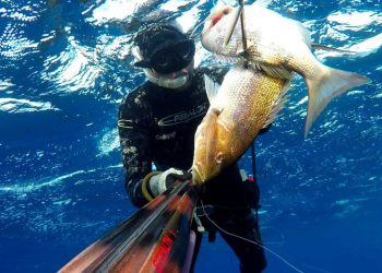 Memorijalni kup otoka Pašmana u podvodnom ribolovu