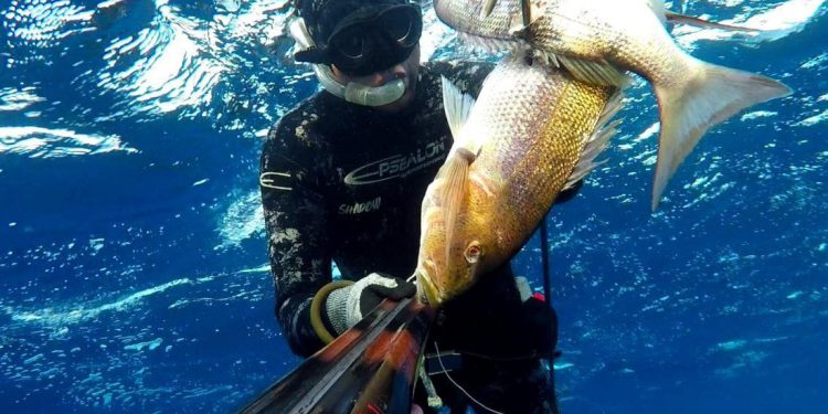 Memorijalni kup otoka Pašmana u podvodnom ribolovu