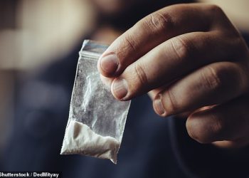 “Mnogo je lakše prokrijumčariti vrećicu kokaina u nogometnu utakmicu nego nositi staklenu bocu …” Strah od upotrebe droge pomaže nasilju navijača goriva i poremećaja