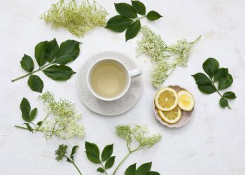 Moćna biljka jača imunitet, smanjuje upalu i štiti srce: lijek je za mnoga oboljenja, u nju se zaklinju i naši stari