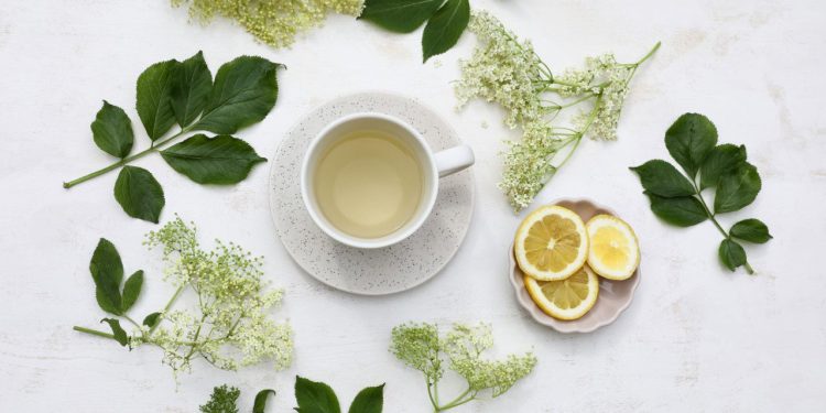 Moćna biljka jača imunitet, smanjuje upalu i štiti srce: lijek je za mnoga oboljenja, u nju se zaklinju i naši stari