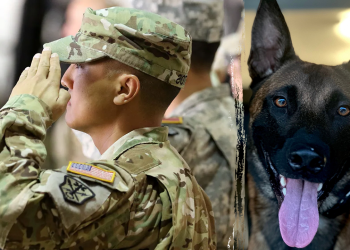 Morski veteran borbe protiv PTSP -a s programom servisnih psa ‘Transforming Lives’