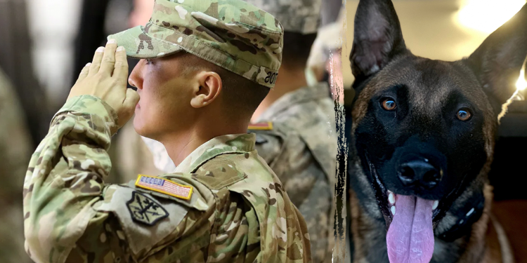 Morski veteran borbe protiv PTSP -a s programom servisnih psa ‘Transforming Lives’