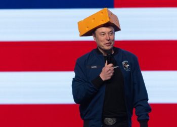 Musk odstupi kao poseban vladin zaposlenik – RT World News