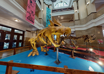 Muzej fosila Pokémon donosi stvarne i lažne Pokémon fosile u SAD sljedeće godine