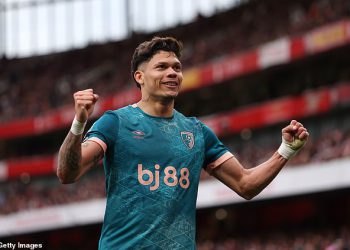 Navijači Arsenala su se bavili pobjedničkim golom Bournemouth -a na Emiratesu da stane nakon dugotrajne var revizije