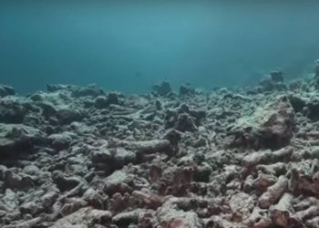 Nije mrtav, ali je ozbiljno bolestan!