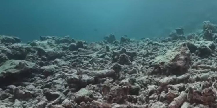 Nije mrtav, ali je ozbiljno bolestan!