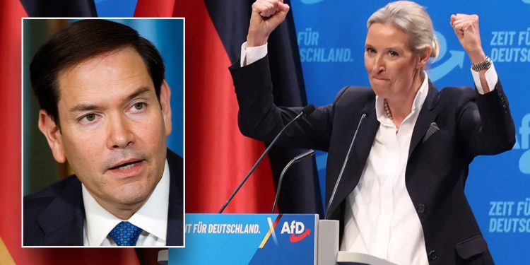 Njemačka popularna stranka AfD koju je Intel Agency označila kao ‘ekstremista’