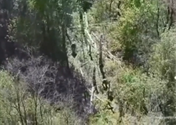 Novi ukrajinski Kursk Assault Repell – čečeni vođa (video) – RT Rusija i bivši Sovjetski savez