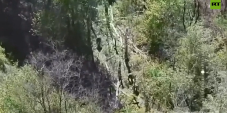 Novi ukrajinski Kursk Assault Repell – čečeni vođa (video) – RT Rusija i bivši Sovjetski savez