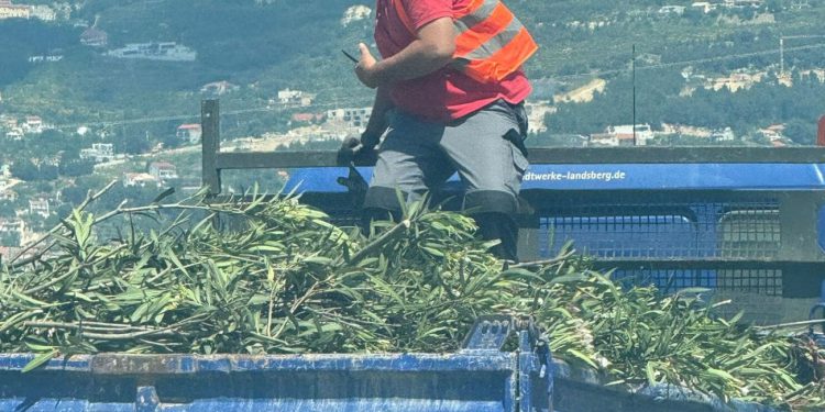 OPREZNO NA MEJAŠIMA Šišaju se oleandri, nastaju ogromne gužve