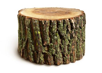 OVAKO IZGLEDA PROSJEČAN NAVIJAČKI HULIGAN Vrijeme je da država pristojne građane zaštiti od tog društvenog otpada