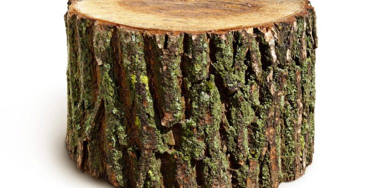 OVAKO IZGLEDA PROSJEČAN NAVIJAČKI HULIGAN Vrijeme je da država pristojne građane zaštiti od tog društvenog otpada