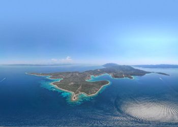 Omiljenoj stanovnici Lovišta stradaloj pod brodskim propelerom ronioci posvećuju akciju čišćenja mora