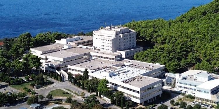 Osoblje koji nije dežurno umjesto kuhanog ručka ima sendviče!