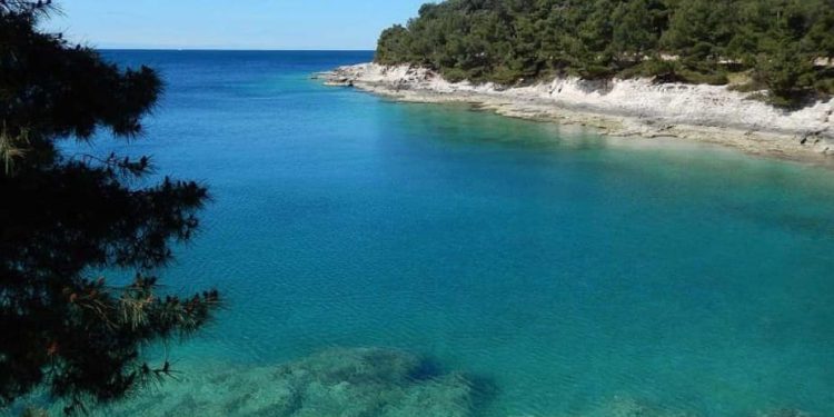 Ovdje se radi o nizu nekretinina velike vrijednosti koje su završile u privatnim rukama!