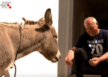 Ovo je priča o magarcu s dalmatinskog otoka koji obožava kekse i selfieje!