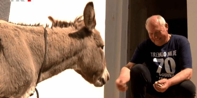 Ovo je priča o magarcu s dalmatinskog otoka koji obožava kekse i selfieje!