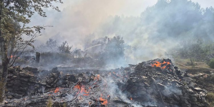 POŽAR NA OTOKU HVARU Sve postrojbe s otoka na terenu