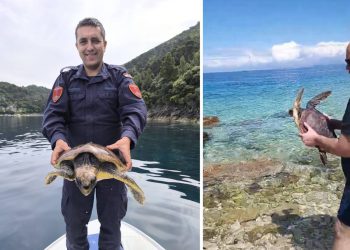 PUT SREĆE Priča o spašavanju i slobodi morske kornjače na Mljetu