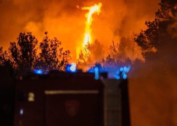 Planulo u Omišu, šumski požar kod auto kampa Lisičina