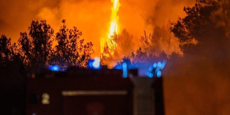 Planulo u Omišu, šumski požar kod auto kampa Lisičina