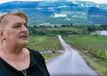 Pobuna u Dalmaciji: Vinogradari ne žele cestu kroz nasade, žalili se i Europskoj komisiji