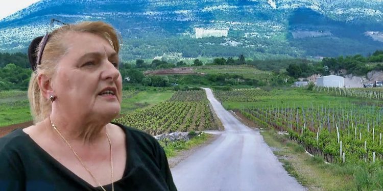 Pobuna u Dalmaciji: Vinogradari ne žele cestu kroz nasade, žalili se i Europskoj komisiji